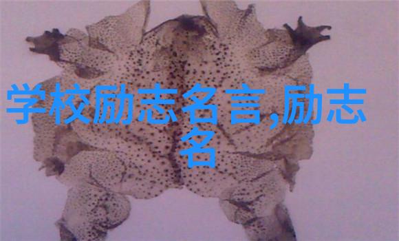 余秋雨的智慧品味生活抒发情感