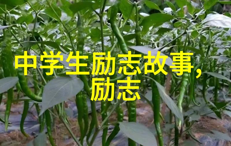 情话中的力量揭秘最能打动人心的表白秘诀