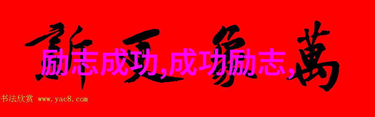 马云的智慧追梦者精神与企业家格局