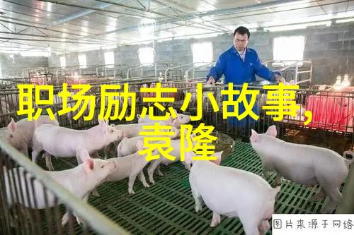 命运是条坎坷的路心态是成功的种子