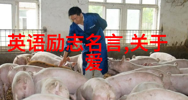 感恩身边人的经典语录-心存感激情深意长身边人赞美的话语