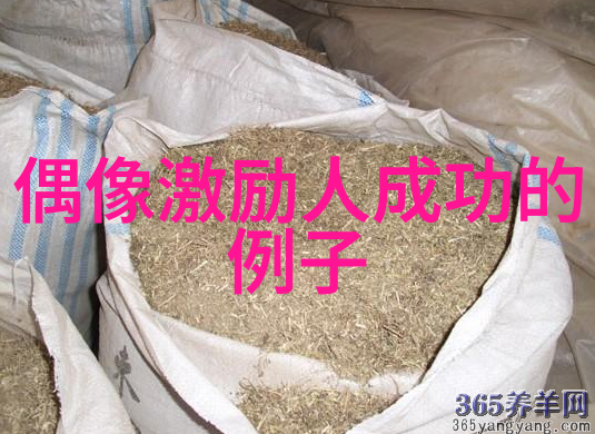 励志传递让每个人的生命都闪耀光芒-成功励志網影響力研究