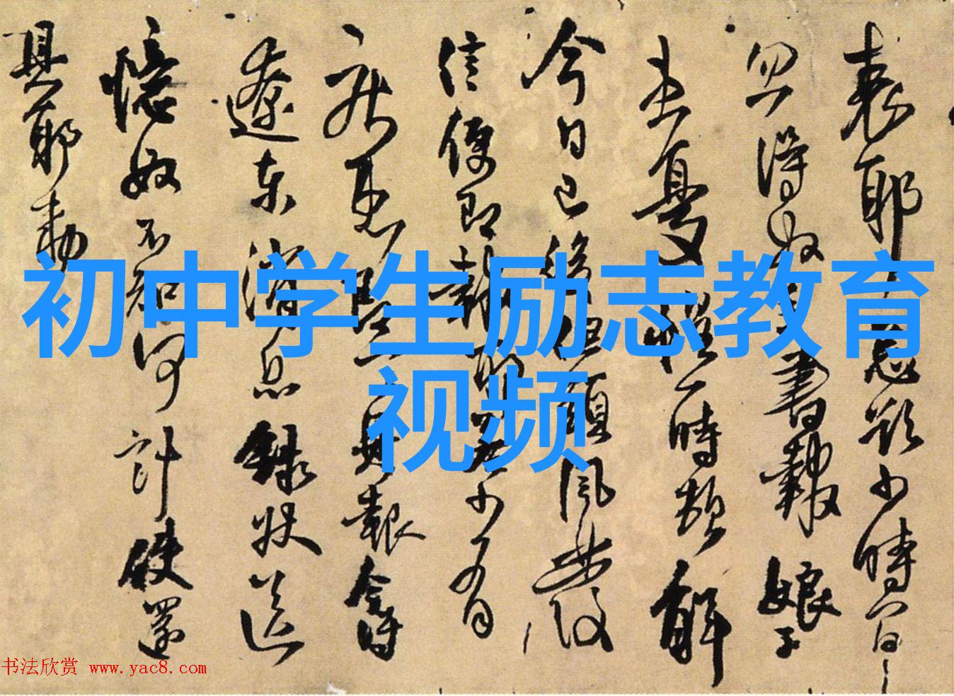 从一无是处到小有成就我如何用不倒翁精神捡起了人生的第一枚金币