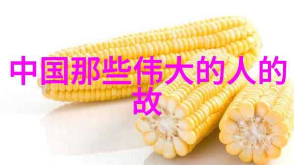 革命之花分析那些在历史上扮演关键角色的女性