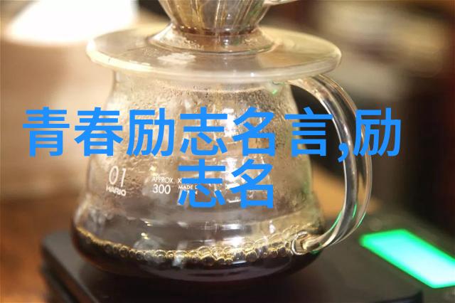 逆袭之路从低谷到辉煌的故事