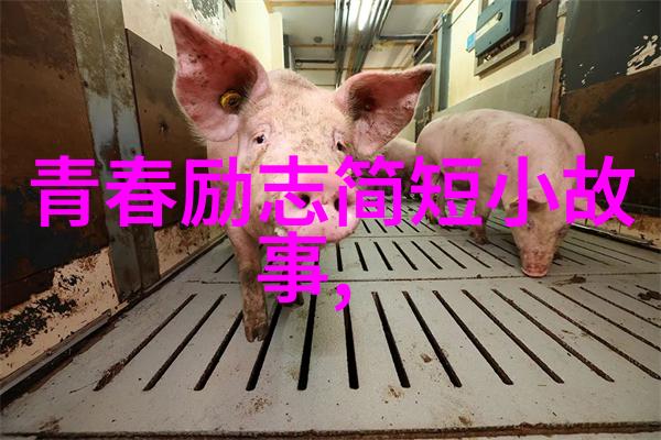 不懈奋斗努力的力量与人生旅途中的意义探究
