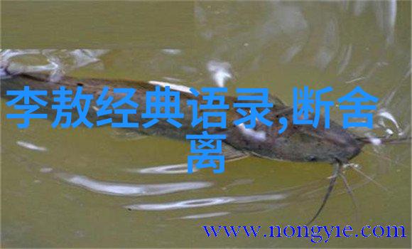 如何以爱为底色教你制止家暴的方法情感咨询师告诉你反问解决方案