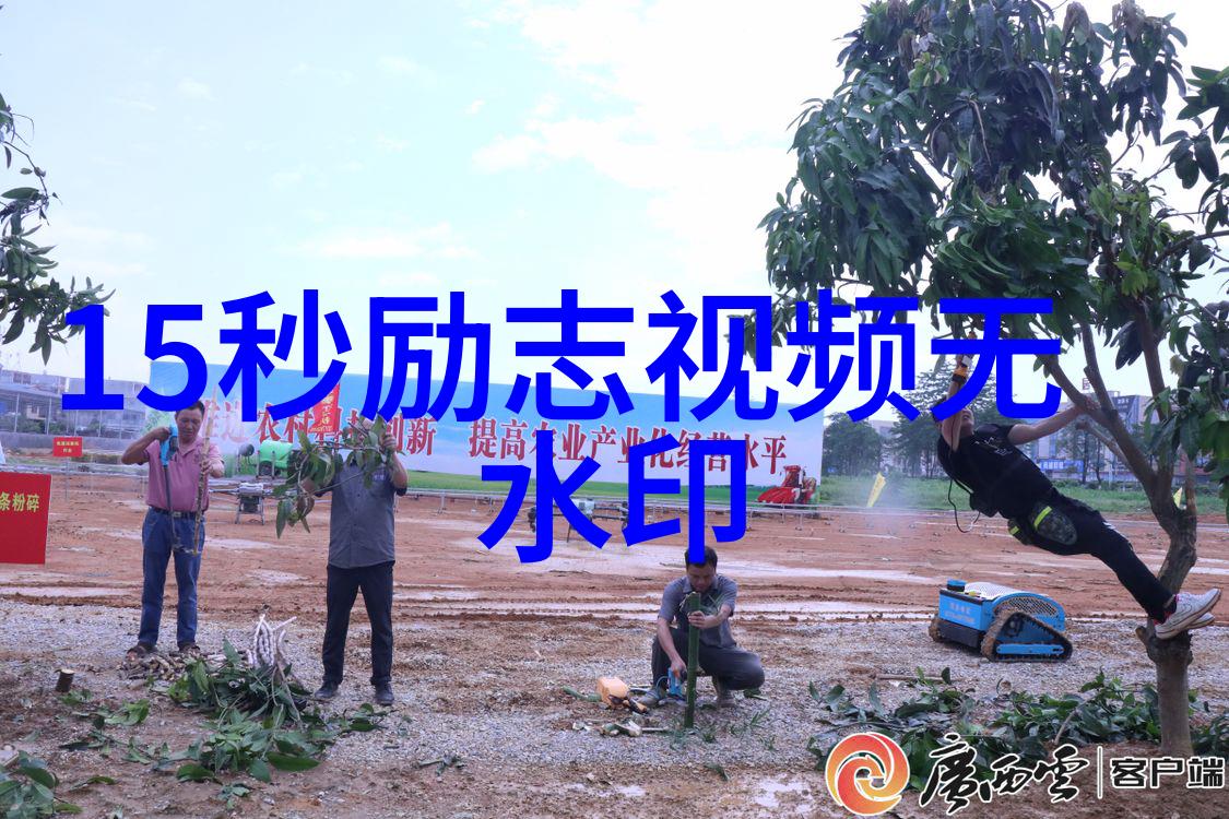人物素材摘抄捕捉生命精髓的20字