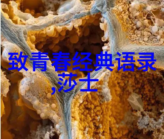 最新女人另类Z0OZONXN-破圈的女性力量探索新时代另类美学