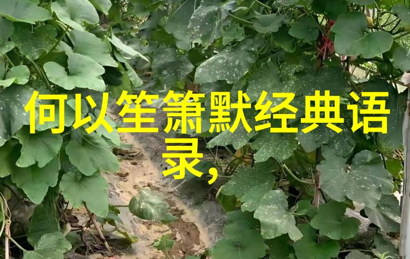 亚洲免费恋爱旅行指南探索无边海岸与浪漫风景