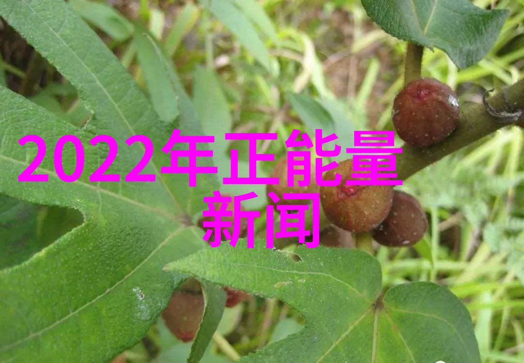 逆袭的灯塔小李的钢铁梦想