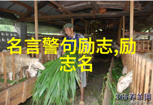 笑谈经典妙语连珠智慧闪光