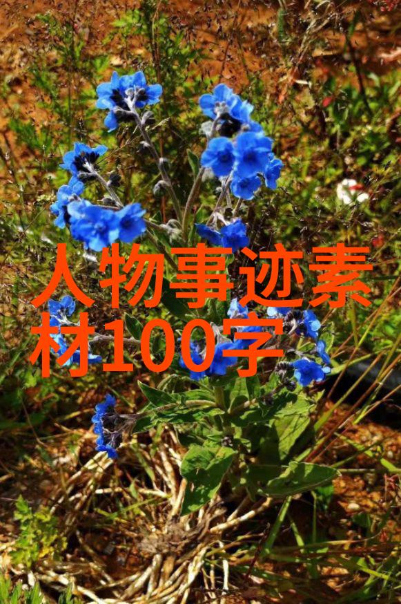 一夜入冬的经典语录 - 李白的星辰之旅