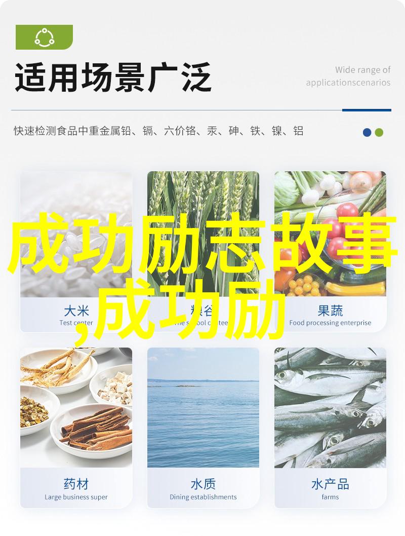 穿越时空的对话者历史人物访谈录