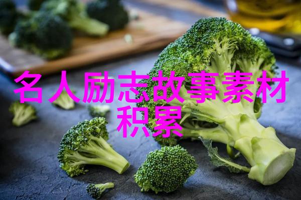 星光之翼偶像的力量与粉丝的心跳