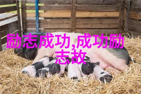 孩子爸爸们的C幼儿园老师背后的故事与笑容