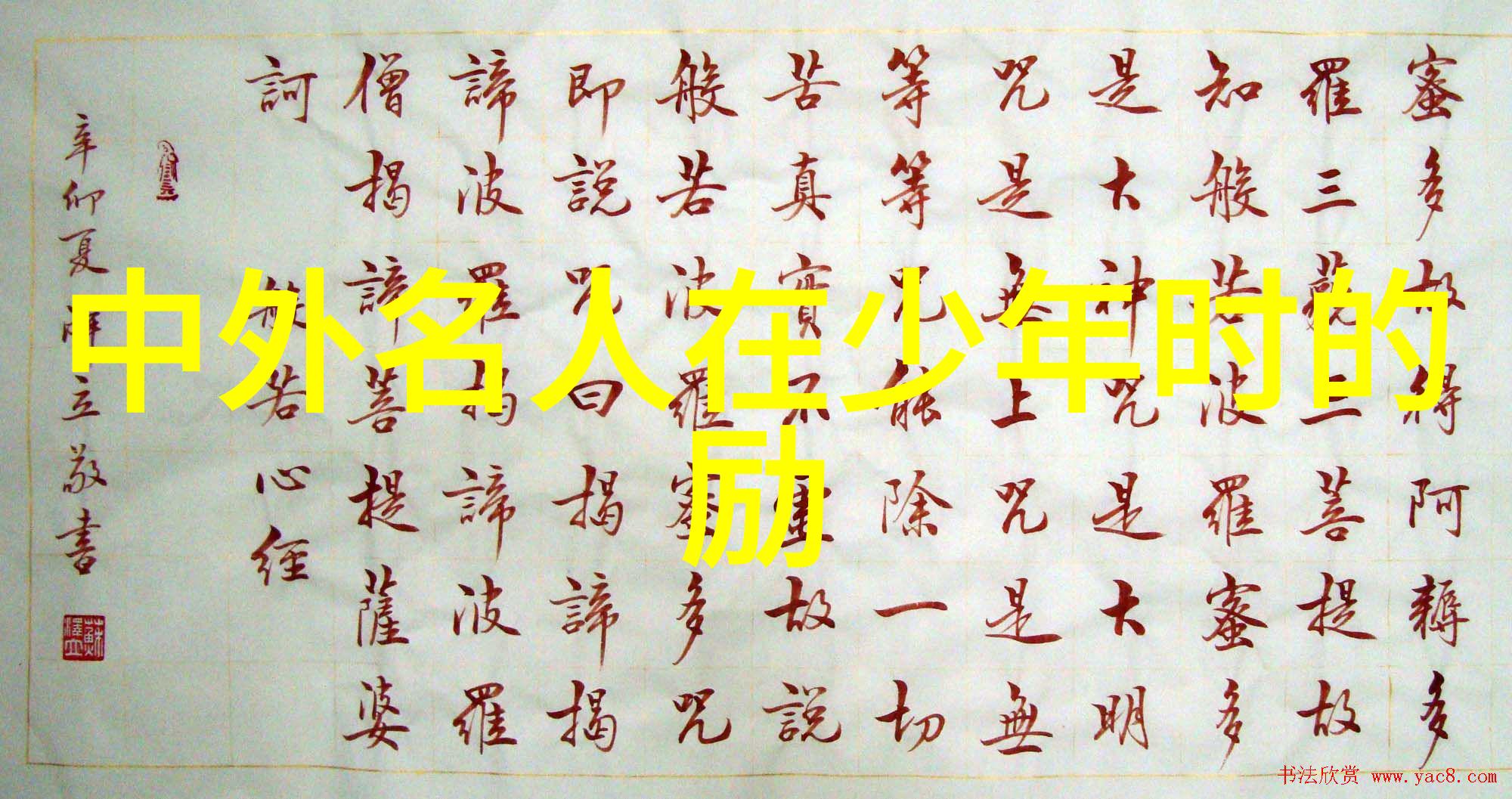逆袭少年从街头乐队到国际音乐节的奇迹