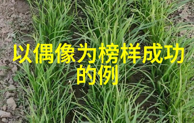 努力工作图片励志可爱图片-勤勉的魔法如何让每一天都充满活力与动力