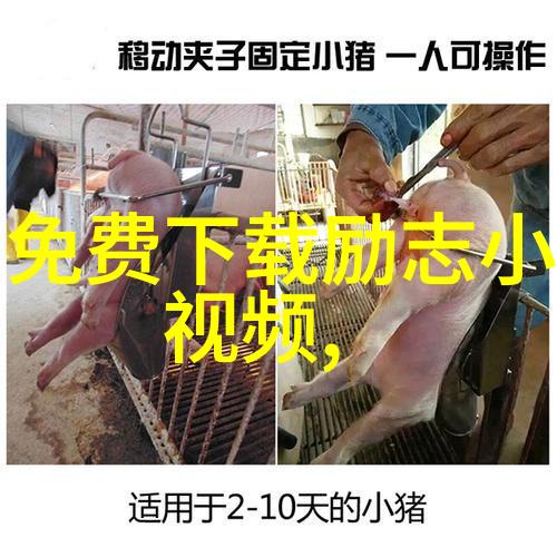 家庭暴力的阴影老公的咒语如何解