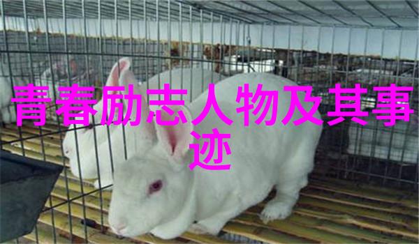 跨越边界的心灵连接一位教师的国际交流经历