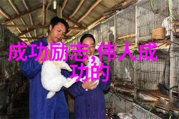 逆袭励志故事从零到英雄的奇迹之旅