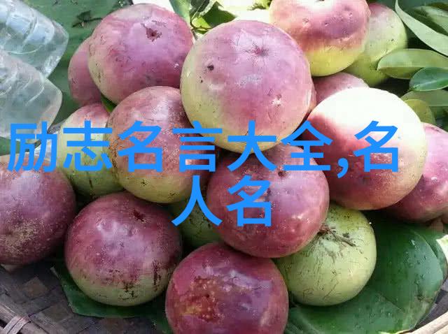 深度解读非主流经典语录隐秘的智慧与独特视角
