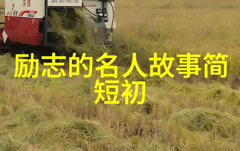 王小波经典语录 - 追梦者李明以不懈努力书写人生的华章