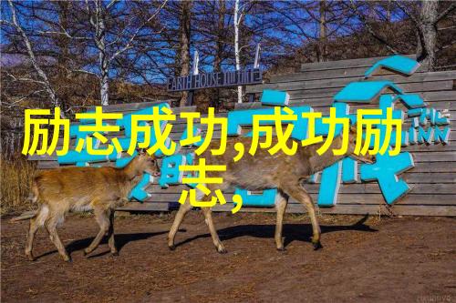 肛裂的原因与预防权威指南