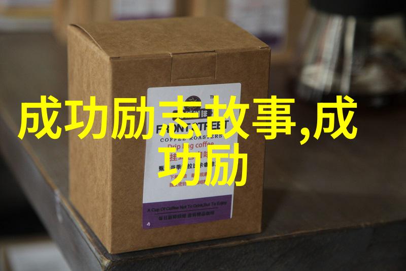 史蒂夫乔布斯的创意革命苹果公司的创新精神