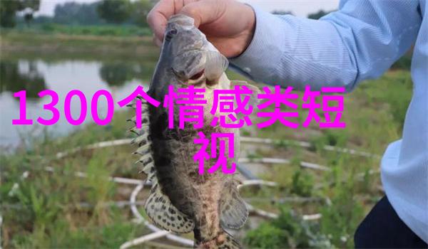 李嘉诚的成功之道从草根到商界巨擘的励志故事
