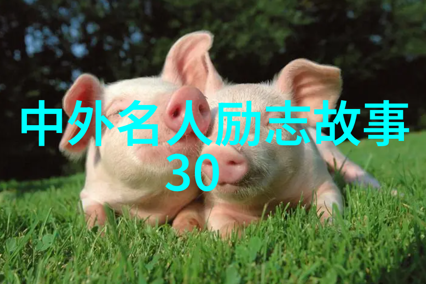 他是怎样利用每一次失败来重新起步最终取得胜利的