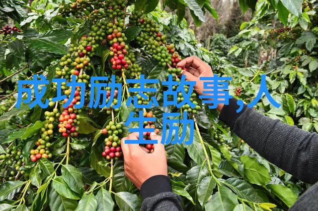 斗罗大陆神界大乱斗交大配混沌之战的序幕