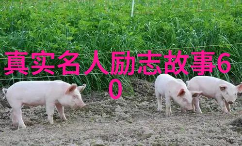 成长不是为了逃离过去而是为了迎接未来