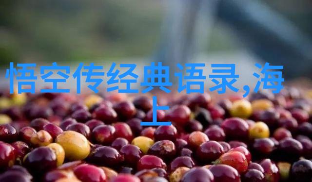 偶像名人我是如何被我的偶像深深吸引的