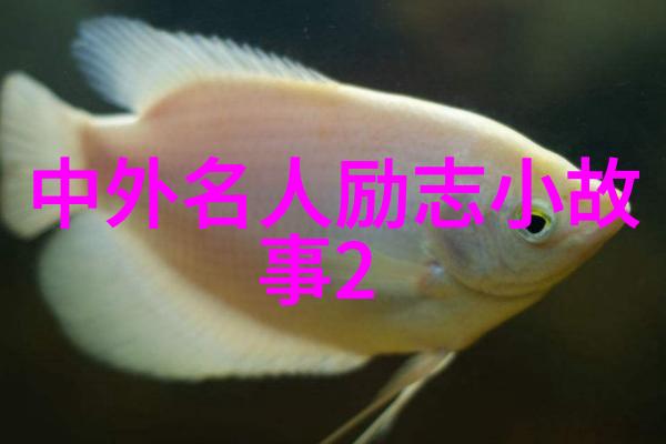 红杏出墙的妻子与游手好闲的丈夫离婚前夜的秘密情缘