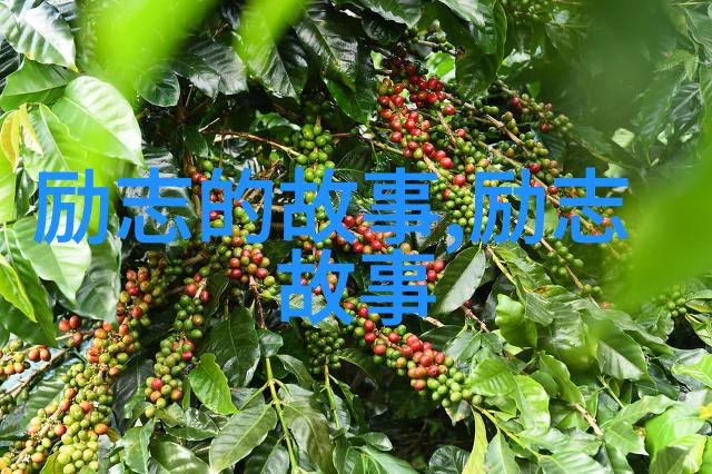 魔域帝国两个女孩恋爱怎么做有什么好玩的电脑游戏让她们共同探索