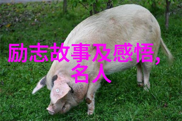 友情的诗在物品中爱弥留心底就好
