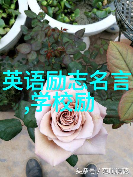 脱美女衣服小游戏-裸露挑战美女的衣物脱落之谜