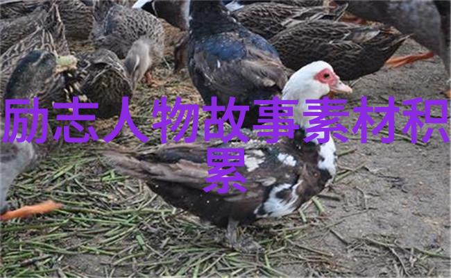 1. 数据驱动任嘉伦在披荆斩棘的哥哥第几季参演2. 经人介绍女孩加微信后如何进行初步交流数据分析揭秘