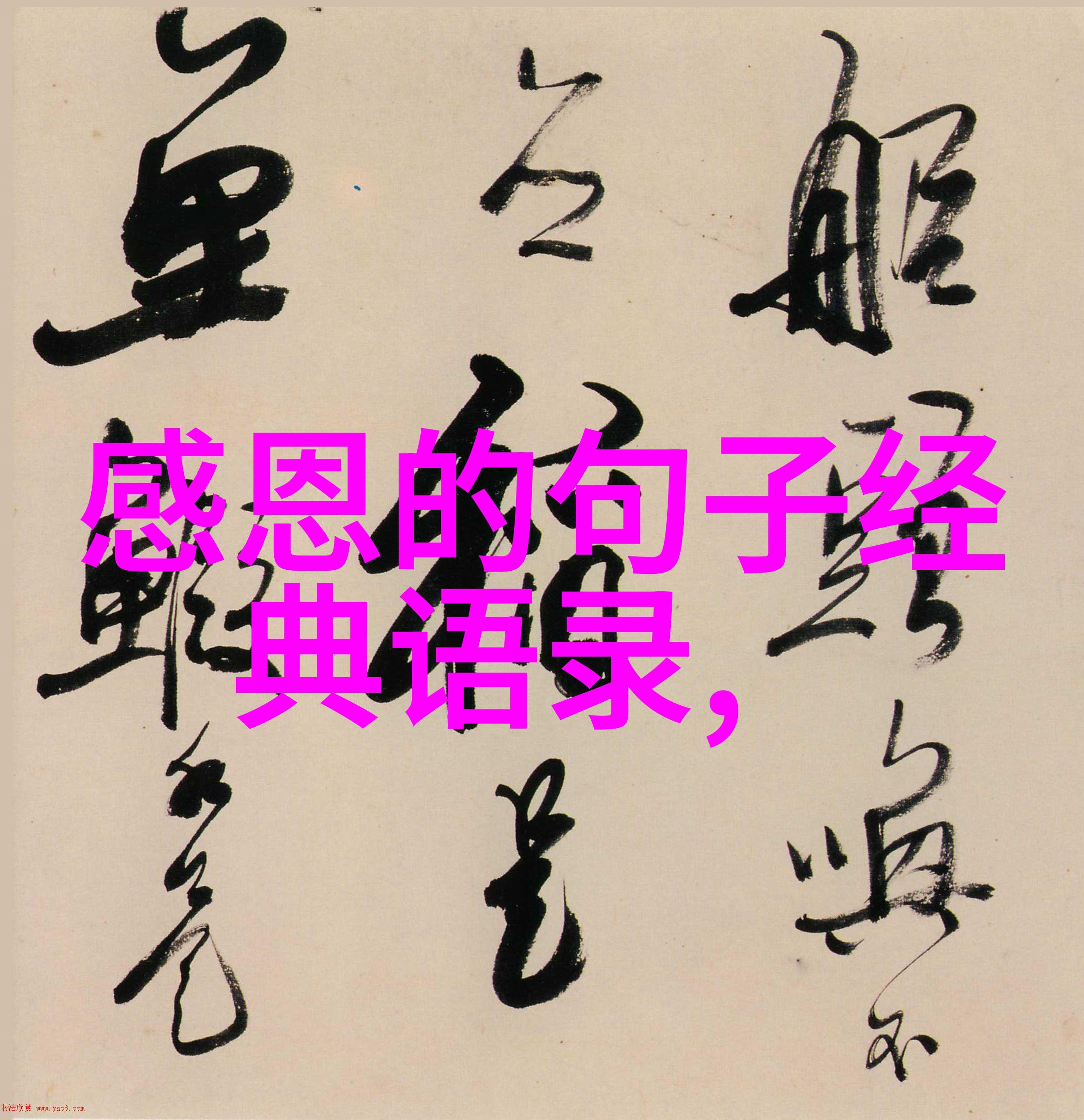 林心如语句