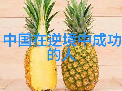 星光璀璨的旅途从梦想起航到成功的彼岸