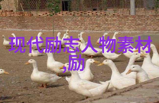 青春语录时光的回音与梦想的起航