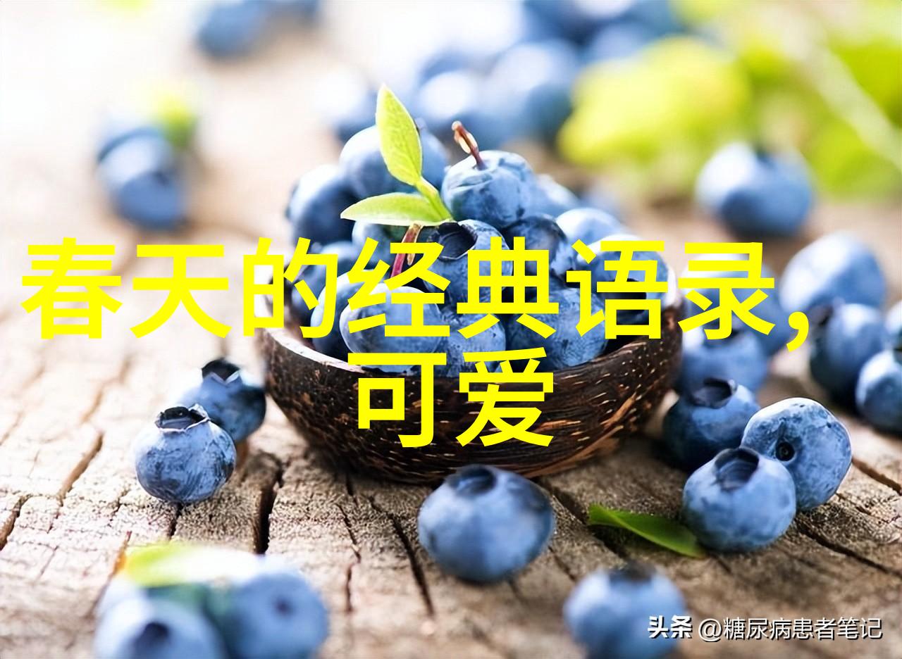 创富启示录马云如何打造阿里巴巴