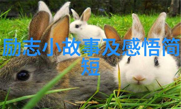 逆袭先行者90后的正能量人物故事集
