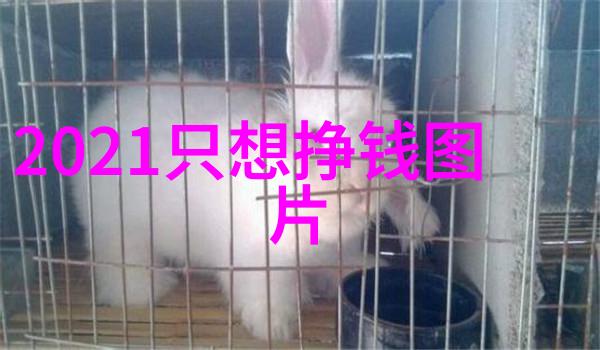 又甜又有车的睡前短文蚂蚁庄园今天正确答案(2021年5月15日蚂蚁庄园答案4)