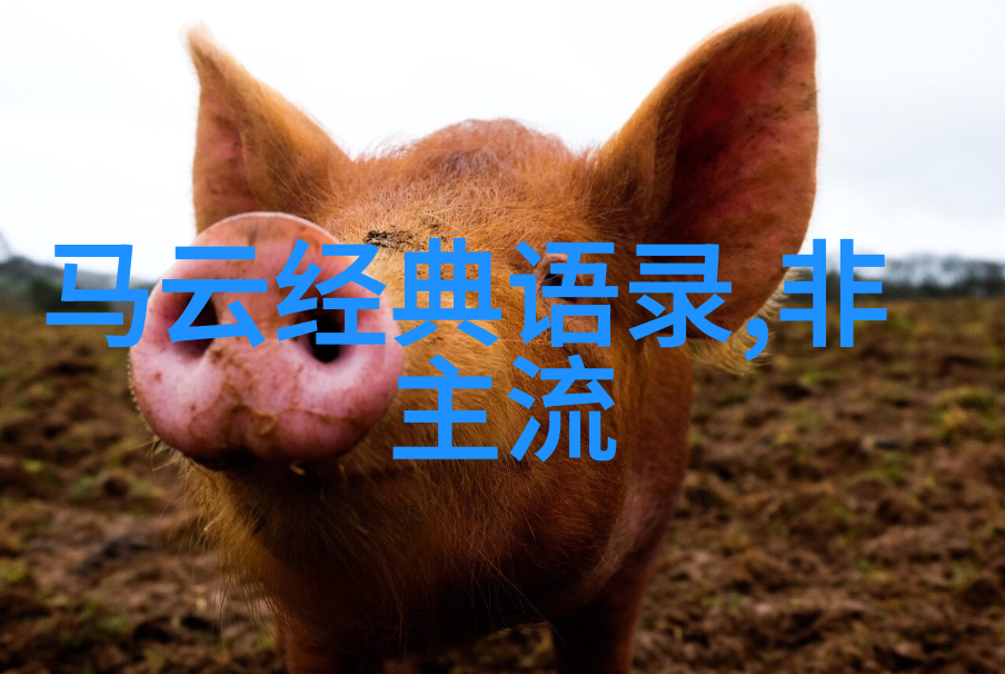 一心只爱终成大器那些因为偶像是怎么一步步走向辉煌的