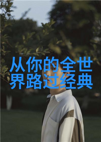 逆袭之星辰大海心灵深处的火焰与梦想的翅膀