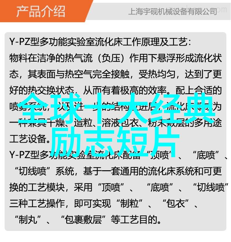 跨越时空的梦想之火一段中外友谊的启示