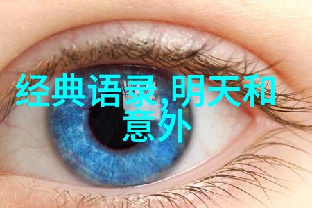 职场巅峰从低谷到辉煌的不屈拼搏之旅