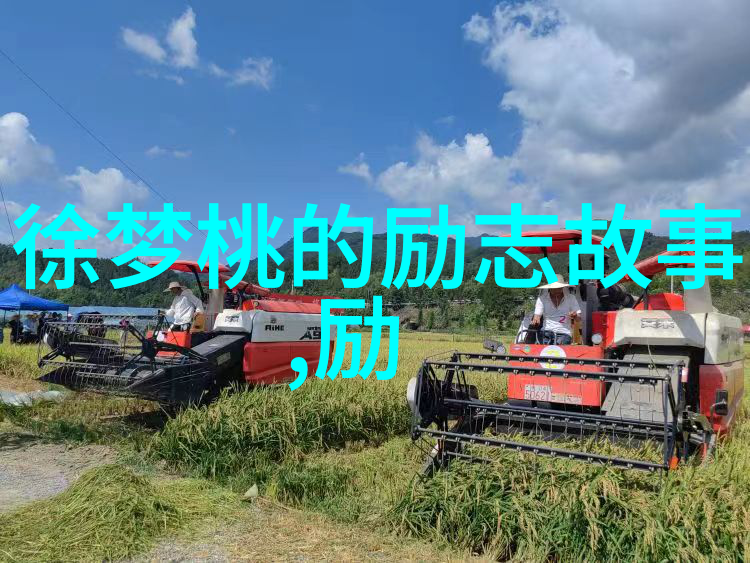 梦想桥梁从零到英雄的奇迹之旅